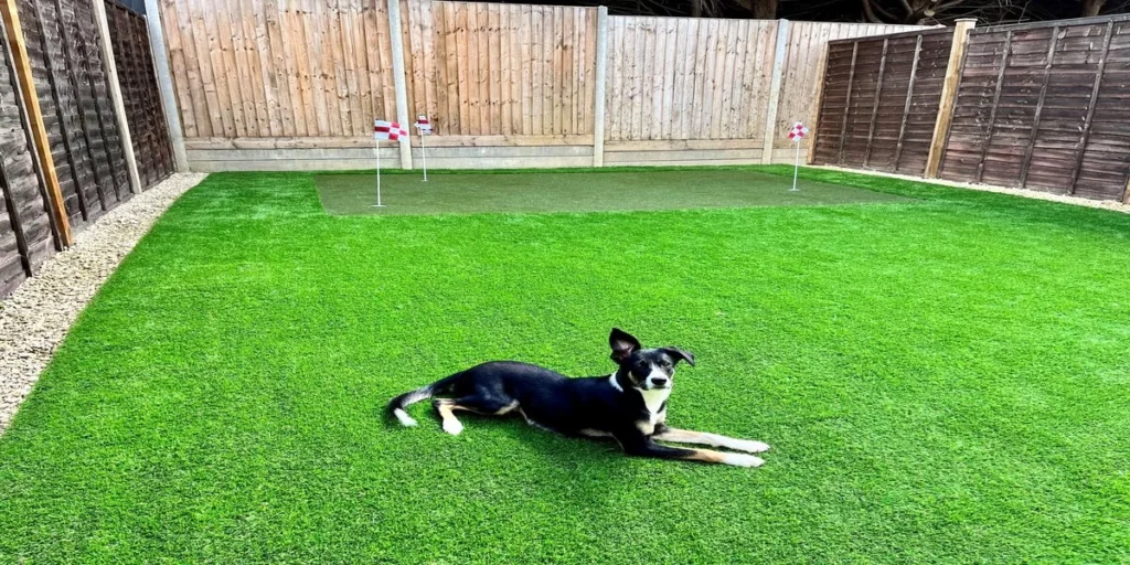antimicrobial artificial grassRemove term: artificial grass cost Johannesburg artificial grass cost JohannesburgRemove term: artificial grass drainage artificial grass drainageRemove term: artificial grass for dogs artificial grass for dogsRemove term: artificial grass installation Gauteng artificial grass installation GautengRemove term: Artificial grass Midrand Artificial grass MidrandRemove term: artificial grass Roodepoort artificial grass RoodepoortRemove term: dog-friendly lawn dog-friendly lawnRemove term: non-toxic artificial grass non-toxic artificial grassRemove term: odour control artificial grass odour control artificial grassRemove term: odour-free artificial lawn odour-free artificial lawnRemove term: permeable artificial turf permeable artificial turfRemove term: pet turf South Africa pet turf South AfricaRemove term: pet-friendly artificial grass pet-friendly artificial grassRemove term: synthetic lawn for dogs synthetic lawn for dogsRemove term: zeolite infill for pet turf zeolite infill for pet turf