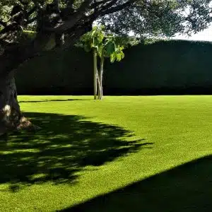 Artificial grass for shaded courtyards and under-tree areas