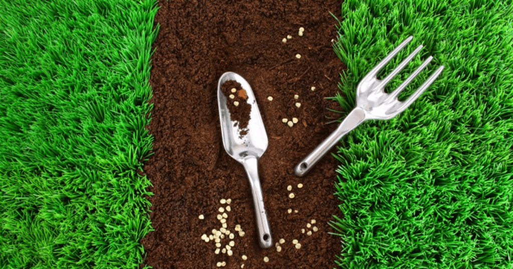 instant turf Roodepoort, instant lawn vs seeding, new build garden lawn, kikuyu grass Roodepoort, instant lawn installation Johannesburg, turf vs grass seed, best lawn for new build, Roodepoort landscaping, instant grass lawn, lawn turf suppliers Roodepoort, sod installation Gauteng, new build garden turf, Highveld lawn grass, turf laying Johannesburg, instant lawn cost South Africa, Turfgreen Group Roodepoort