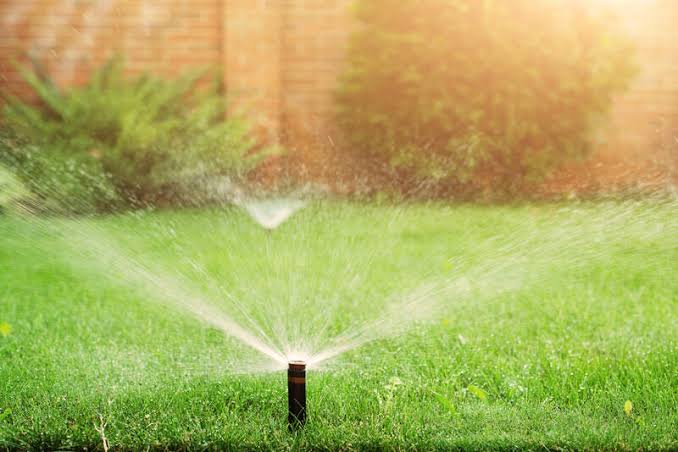 best time to water lawn in winterRemove term: frost protection for new lawn frost protection for new lawnRemove term: Gauteng dry season lawn care Gauteng dry season lawn careRemove term: Highveld winter lawn care Highveld winter lawn careRemove term: how often to water new lawn how often to water new lawnRemove term: instant lawn aftercare Gauteng instant lawn aftercare GautengRemove term: instant lawn installation Gauteng instant lawn installation GautengRemove term: kikuyu winter dormancy kikuyu winter dormancyRemove term: LM Berea winter care LM Berea winter careRemove term: new instant lawn watering schedule Gauteng winter new instant lawn watering schedule Gauteng winterRemove term: new turf root establishment new turf root establishmentRemove term: water restrictions lawn watering Johannesburg water restrictions lawn watering JohannesburgRemove term: water-wise lawn care Gauteng water-wise lawn care GautengRemove term: watering new sod schedule watering new sod scheduleRemove term: watering new turf in winter watering new turf in winterRemove term: winter lawn watering tips South Africa winter lawn watering tips South Africa