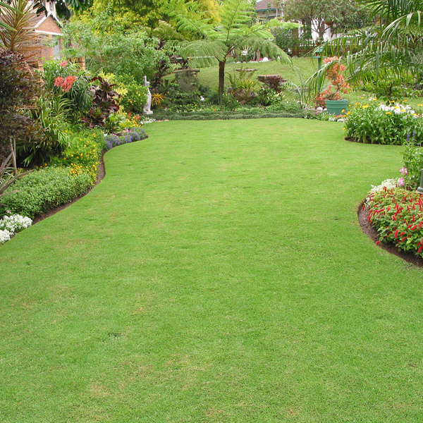 with commas Remove term: artificial grass artificial grassRemove term: Artificial grass cost per square metre Artificial grass cost per square metreRemove term: Artificial grass Midrand Artificial grass MidrandRemove term: Artificial grass suppliers Midrand Artificial grass suppliers MidrandRemove term: artificial lawns artificial lawnsRemove term: Drought-resistant lawn alternatives Drought-resistant lawn alternativesRemove term: Eco-friendly synthetic grass Eco-friendly synthetic grassRemove term: Low-maintenance lawn alternatives Low-maintenance lawn alternativesRemove term: Pet-friendly synthetic lawn Pet-friendly synthetic lawnRemove term: synthetic grass synthetic grassRemove term: Synthetic lawn for residential gardens Synthetic lawn for residential gardensRemove term: Synthetic lawn Midrand Synthetic lawn MidrandRemove term: Synthetic lawns Synthetic lawnsRemove term: Synthetic turf installation Midrand Synthetic turf installation MidrandRemove term: Turfgreen Group Midrand Turfgreen Group MidrandRemove term: UV-stabilised artificial turf UV-stabilised artificial turfRemove term: Water restrictions garden solutions South Africa Water restrictions garden solutions South AfricaRemove term: Water-saving garden solutions South Africa Water-saving garden solutions South AfricaRemove term: Waterwise garden ideas Gauteng Waterwise garden ideas GautengRemove term: Waterwise landscaping Midrand Waterwise landscaping Midrand